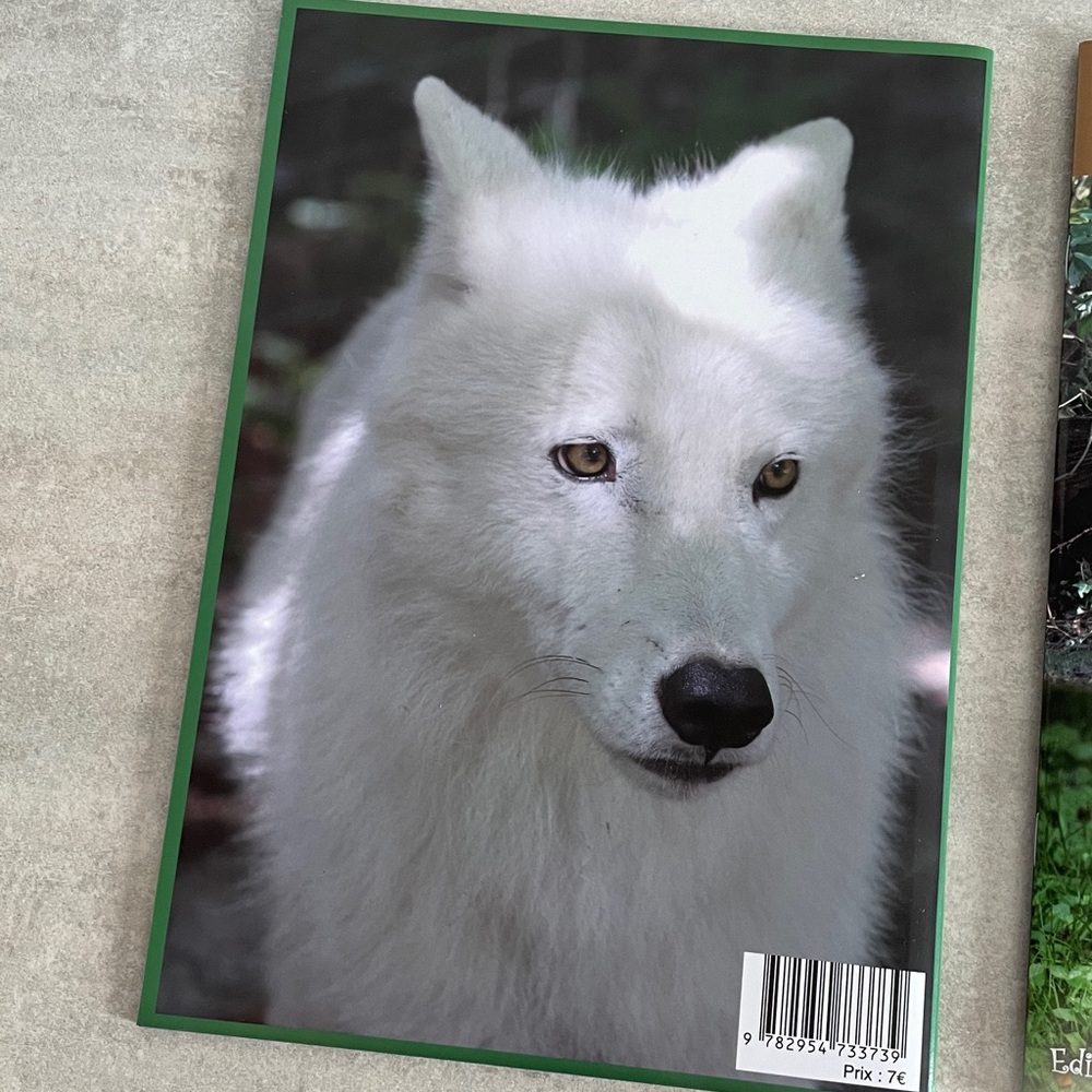 Editions Adonalia Le Loup & Les Félins livret de zoo animaux enfants - Picture 3 of 9